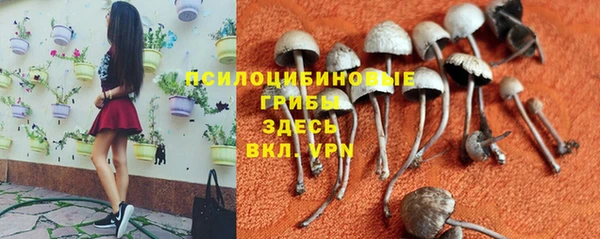 а пвп мука Абаза